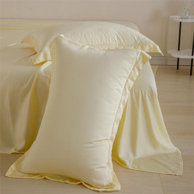 2024新款进口60支兰精天丝系列单枕套 枕套一对 米黄