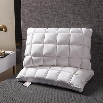 2020新款2柔赛丝羽绒枕头枕芯（48*74cm/只） 白色