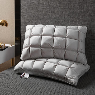 2020新款2柔赛丝羽绒枕头枕芯（48*74cm/只） 灰色