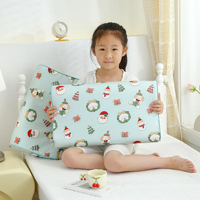 2023新款A类全棉儿童乳胶枕头枕芯 圣诞节-外套（不含枕芯）27*44cm/只