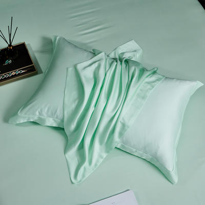 2022新款60s天丝纯色单品枕套（信封款） 48x74cm/对 小溪绿