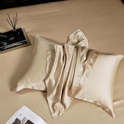 2022新款60s天丝纯色单品枕套（信封款） 48x74cm/对 贝壳彩