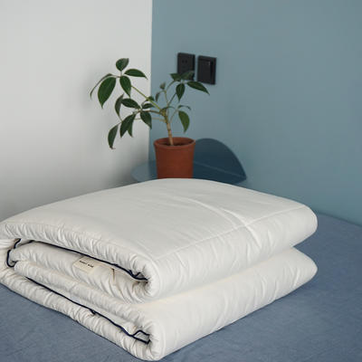 2021新款天然原生态新疆花棉‬床褥垫系列 120*200cm 白