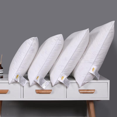 2021全棉白鹅毛抱枕芯沙发靠垫芯汽车座椅腰垫多用途方枕芯 35x50cm/只 白色