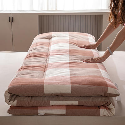 2024新款水洗棉棉花床垫（场景二） 1.2*2.0m（4.5斤） 粉灰大格