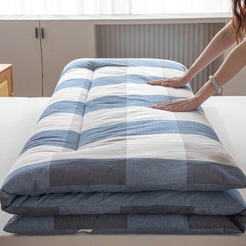 2024新款水洗棉棉花床垫（场景二） 1.2*2.0m（4.5斤） 蓝大格