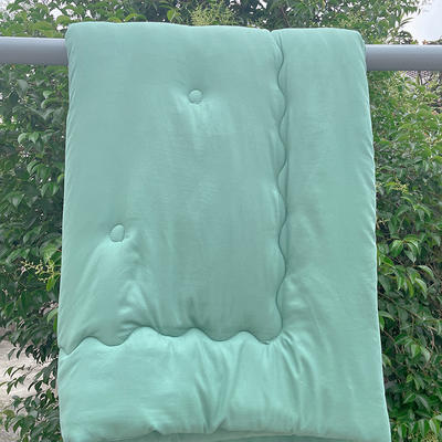 2022新款水洗棉新疆棉花垫被 180*200cm 绿色盖被