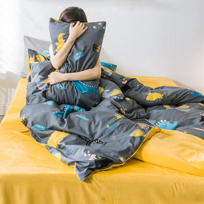 2019新款-全棉+水晶绒棉绒四件套 床单款三件套1.2m（4英尺）床 恐龙世界