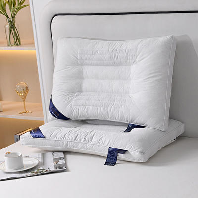 2024新款石墨烯纯棉枕头枕芯颈椎保健枕头芯 48*74cm/只 白色