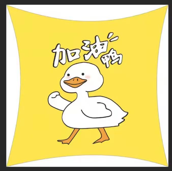 赠品 新款枕头儿童枕芯卡通印花短毛绒抱枕跑量 特价 38x38cm 250克  一只 加油鸭