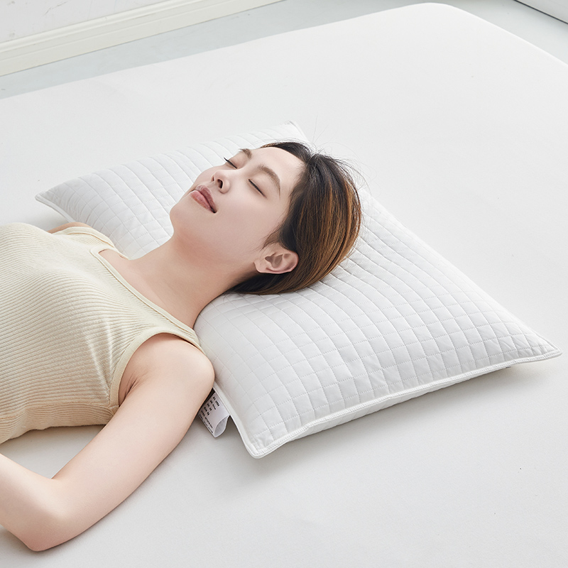 2024新款全荞麦绗缝方格枕 枕头枕芯 40*60cm 全荞麦绗缝方格枕-白色【一对】