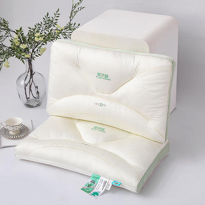 2024新款枕芯植享睡护颈枕芯再生植物纤维超柔羽丝绒枕头 48*74cm/只 白色