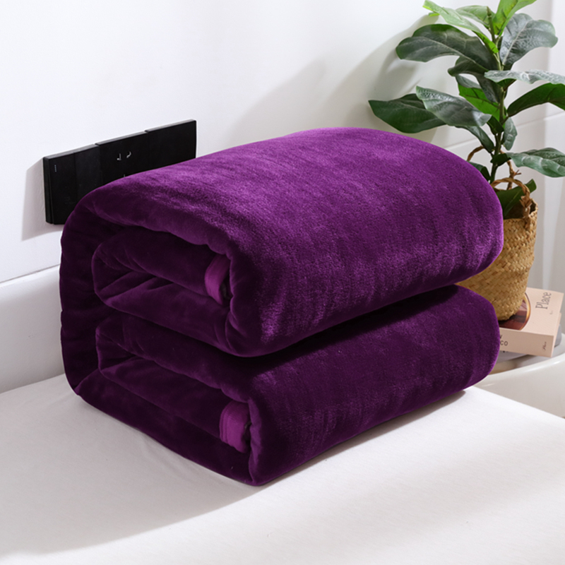 2023新款纯色牛奶绒毛毯床单珊瑚绒毛毯冬季法兰绒毛毯盖毯 150*200cm 亮紫色