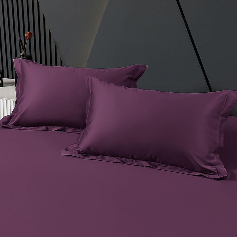 2024新款A类铂金长绒棉系列单品枕套 枕套48*74cm一对 冷艳紫
