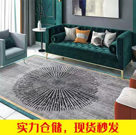 2024新款轻奢简约风水晶绒防滑地垫客厅地毯 50x80cm K-1(年轮)