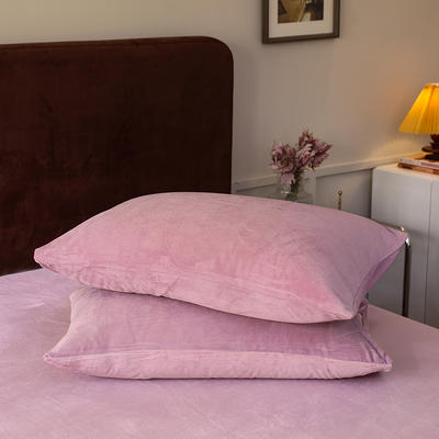 新款秋冬加厚天鹅绒系列单枕套 48*74cm枕套一对 紫色纯色