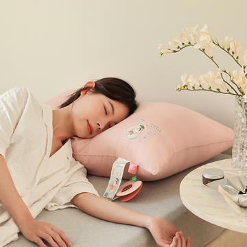 2022春夏热款推荐多味水果枕低枕功能性枕芯