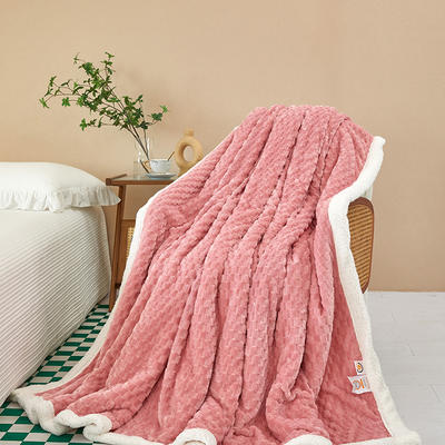 2023新款金龟绒羊羔绒双层盖毯毯子 70*100cm（颜色随机) 粉色