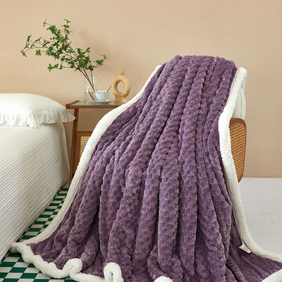2023新款金龟绒羊羔绒双层盖毯毯子 70*100cm（颜色随机) 紫色