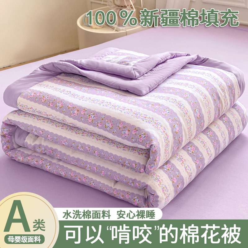 2025新款水洗棉新疆棉花夏被