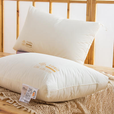 2023新款全棉A类大豆枕定型枕舒适软枕 羽丝枕头单人一对拍2枕芯 定型枕
