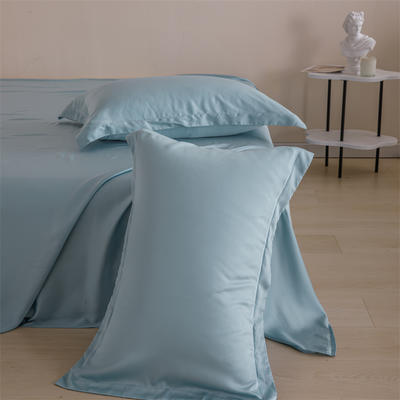 2024新款进口60支兰精天丝系列单枕套 枕套一对 蓝色