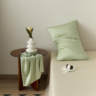 2024新款60S奥地利兰精天丝轻奢系列-单枕套（风格二） 48*74cm枕套一只 嫩叶绿