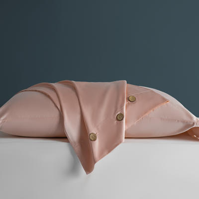 60支新疆长绒棉全棉A类四件套系列单品枕套 48*74cm枕套一对 粉色