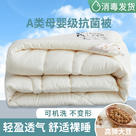 2023新款舒适大豆蛋白纤维棉被春秋被冬被被子被芯 110x150cm午休被 大豆被-白