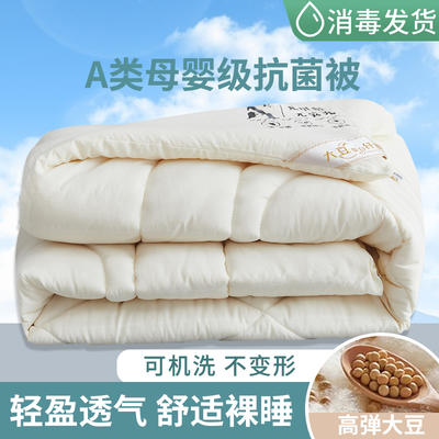2023新款舒适大豆蛋白纤维棉被春秋被冬被被子被芯 110x150cm午休被 大豆被-白
