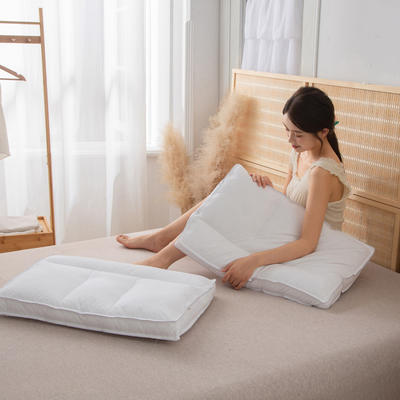 2021新款分区定型枕水洗羽丝绒护颈枕48*74cm/只 四分区定型枕