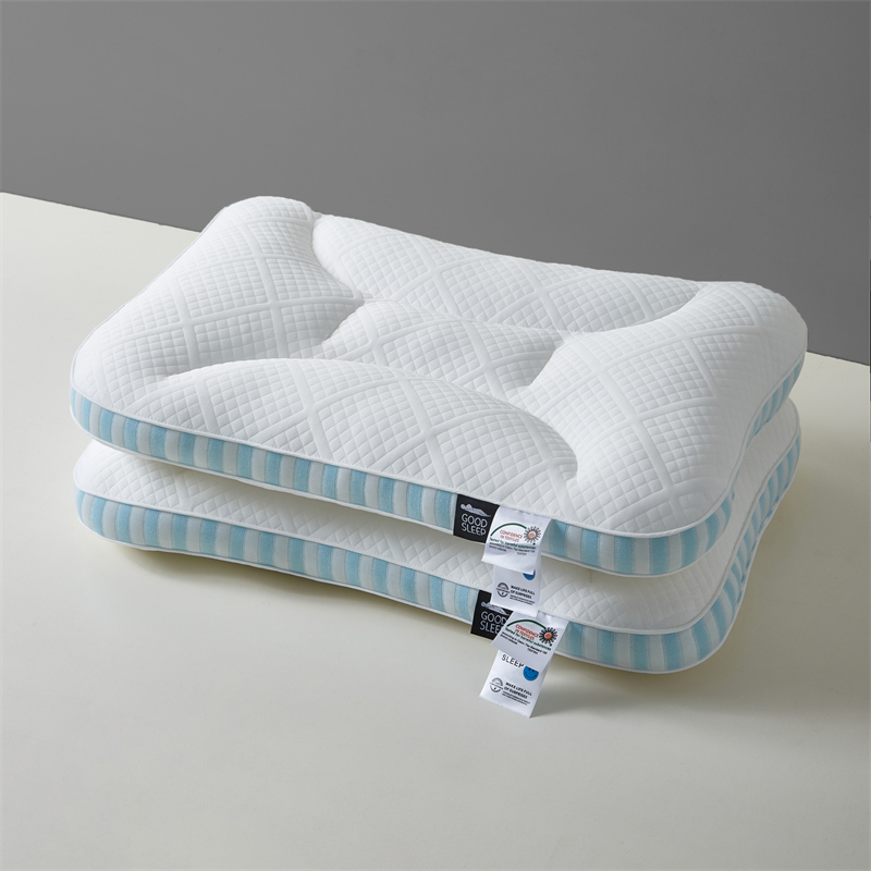 2024新款spa深睡记忆枕枕头枕芯 42x68cm一对 时尚蓝 中枕