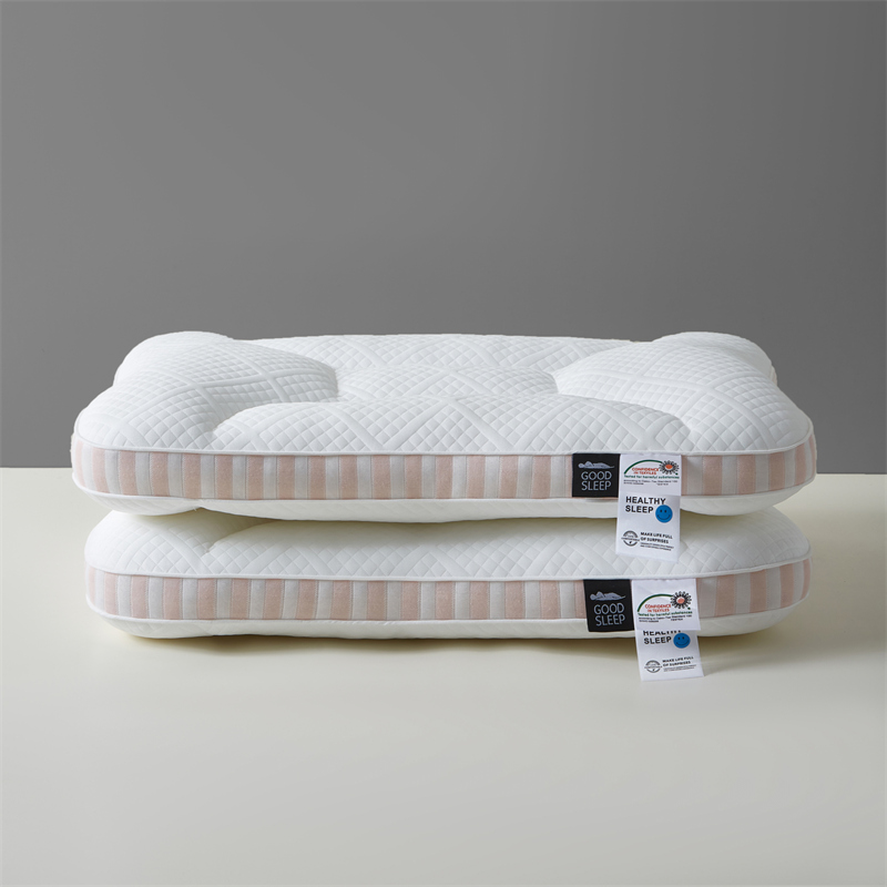 2024新款spa深睡记忆枕枕头枕芯 42x68cm一对 青春粉 高枕