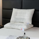 2024新款高端A类酒店纯白决明子定型护颈枕家用成人枕头单人枕芯 48*74cm/只 纯白