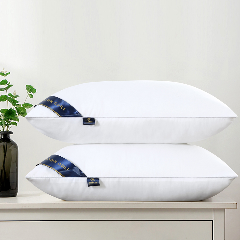 2023新款枕芯酒店枕头低中高枕厂家直销送货上门来样定制 白色低枕（600g）