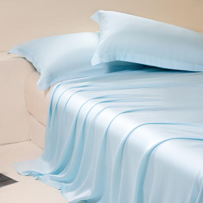 2024新款莱赛尔兰精天丝棉纯色单品及套件--单床单 245*250cm-单床单 床单-海天兰