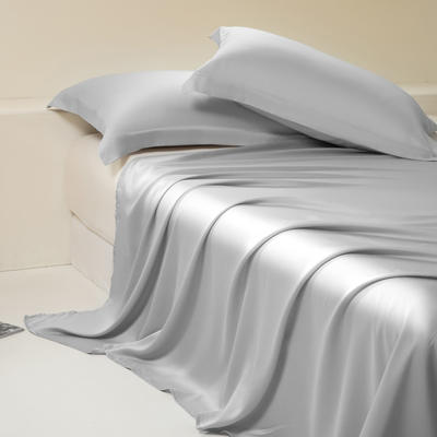 2024新款莱赛尔兰精天丝棉纯色单品及套件--单床单 245*250cm-单床单 床单-时尚灰