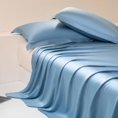 2024新款莱赛尔兰精天丝棉纯色单品及套件--单床单 245*250cm-单床单 床单-星耀兰
