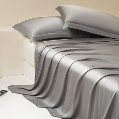 2024新款莱赛尔兰精天丝棉纯色单品及套件--单床单 245*250cm-单床单 床单-星夜灰