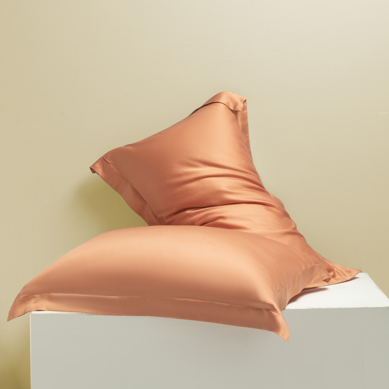 2024新款莱赛尔兰精天丝棉纯色单品及套件--单枕套 48*74cm枕套/对 枕套-焦糖