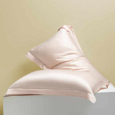 2024新款莱赛尔兰精天丝棉纯色单品及套件--单枕套 48*74cm枕套/对 枕套-肉桂粉