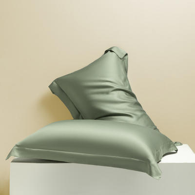 2024新款莱赛尔兰精天丝棉纯色单品及套件--单枕套 48*74cm枕套/对 枕套-赛琳绿