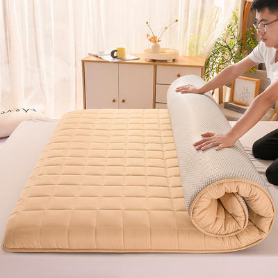 2023新款A类水洗棉新疆棉花床垫系列 90*200CM厚度6公分 经典驼