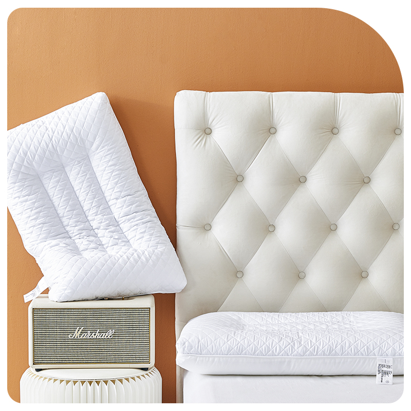 2024新款星级酒店荞麦羽丝两用枕枕头枕芯 48*74cm/对 白色