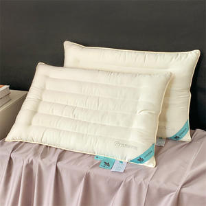2024新款玻尿酸面膜枕 枕头枕芯 48*74cm/只 低枕