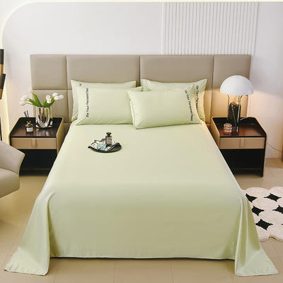 2024夏季单床单新款单床单水洗真丝单床单天丝冰丝系列--单床单 250x245cm 浅豆绿