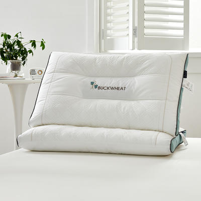 2023新款 全棉植物养护荞麦枕头 深度定型助眠枕芯 全棉荞麦助眠枕  一对装