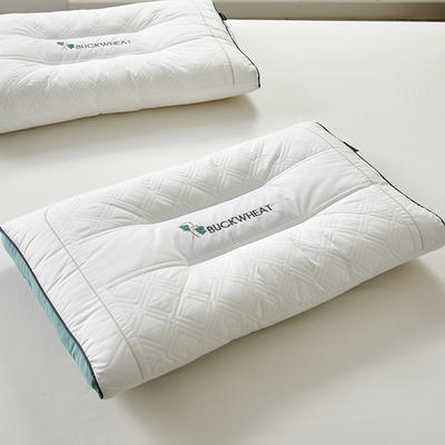 2023新款 全棉植物养护荞麦枕头 深度定型助眠枕芯 全棉荞麦助眠枕 一只装