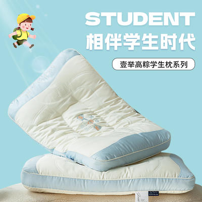 2024新款   一款专为学生设计  令人心动的柔软  蓬松如躺在云端 48*74 壹举高粽学生护颈枕/只   低枕