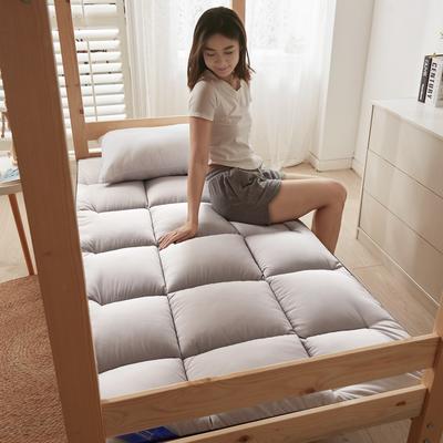2022新款羽丝绒加厚立体床垫学生单人宿舍床褥 1.2×2.0m厚度5cm 灰色